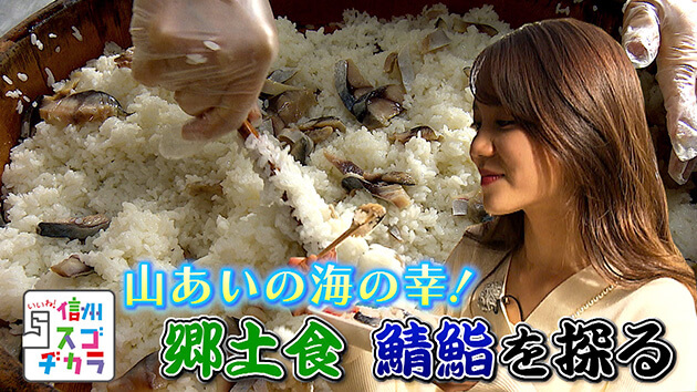 山あいの海の幸！郷土食 鯖鮨を探る