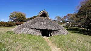 井戸尻遺跡｜縄文を解き明かせ！個性派 井戸尻考古館