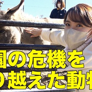 県内外から親しまれる小さな動物園（2022年12月17日 土曜 午前10時45分）