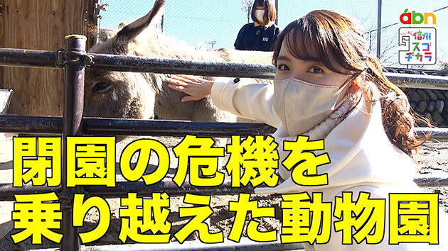 県内外から親しまれる小さな動物園