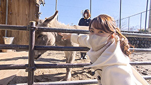 動物ふれあい・須坂市動物園｜県内外から親しまれる小さな動物園