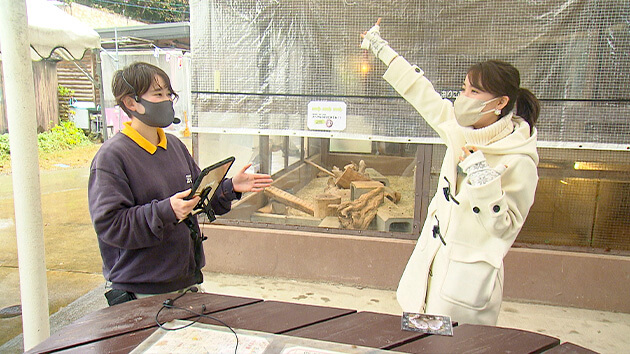 県内外から親しまれる小さな動物園｜アナウンサー・大槻瞳