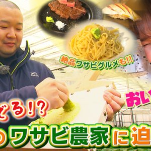 まるで遊んでいる!?令和のワサビ農家に迫る（2023年3月4日 土曜 午前10時45分）