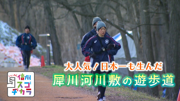 大人気!日本一も生んだ 犀川河川敷の遊歩道