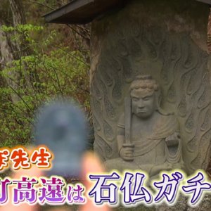 おさんぽ先生 城下町高遠は石仏ガチャの里（2023年4月29日 土曜 午前10時45分）