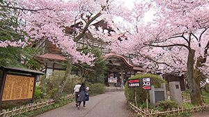 高遠城址公園｜おさんぽ先生 城下町高遠は石仏ガチャの里