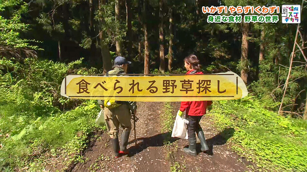 いかず!やらず!くわず!