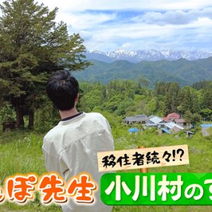 おさんぽ先生 移住者続々!? 小川村のすすめ（2023年6月24日 土曜 午前10時45分）