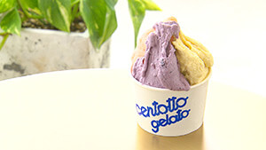 ジェラート・にのくらマルシェ centotto gelato｜スゴうまグルメ 10選