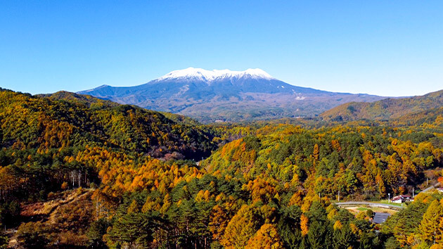 開田高原 紅葉｜新そば＆馬セラピー！？ 色づき始めた開田高原へ