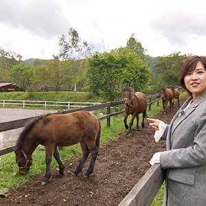 新そば＆馬セラピー！？ 色づき始めた開田高原へ｜アナウンサー・楠原由祐子