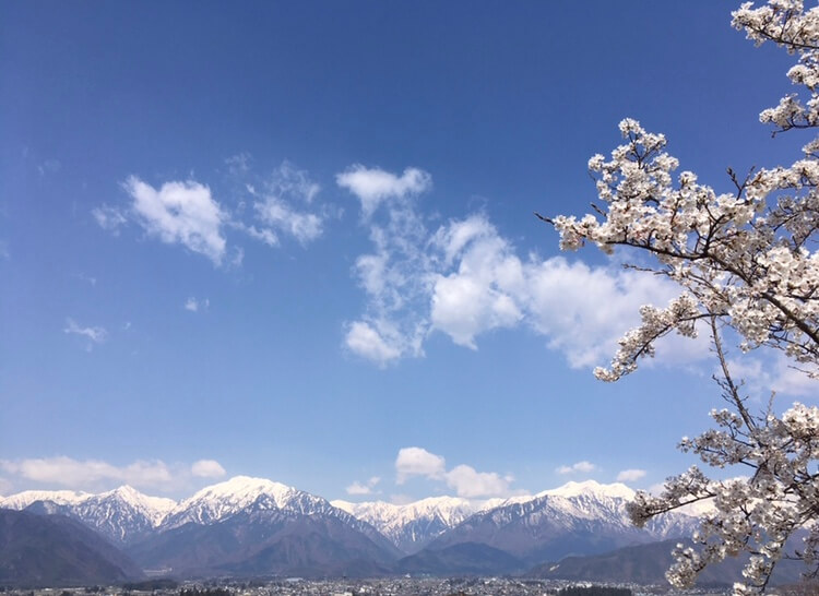 写真で帰省したつもりGW（執筆：萩原）