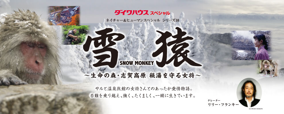 ネイチャー＆ヒューマンスペシャル シリーズ10『雪猿』～生命の森・志賀高原 秘湯を守る女将～