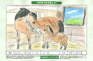 木曽馬の絵を描こう！