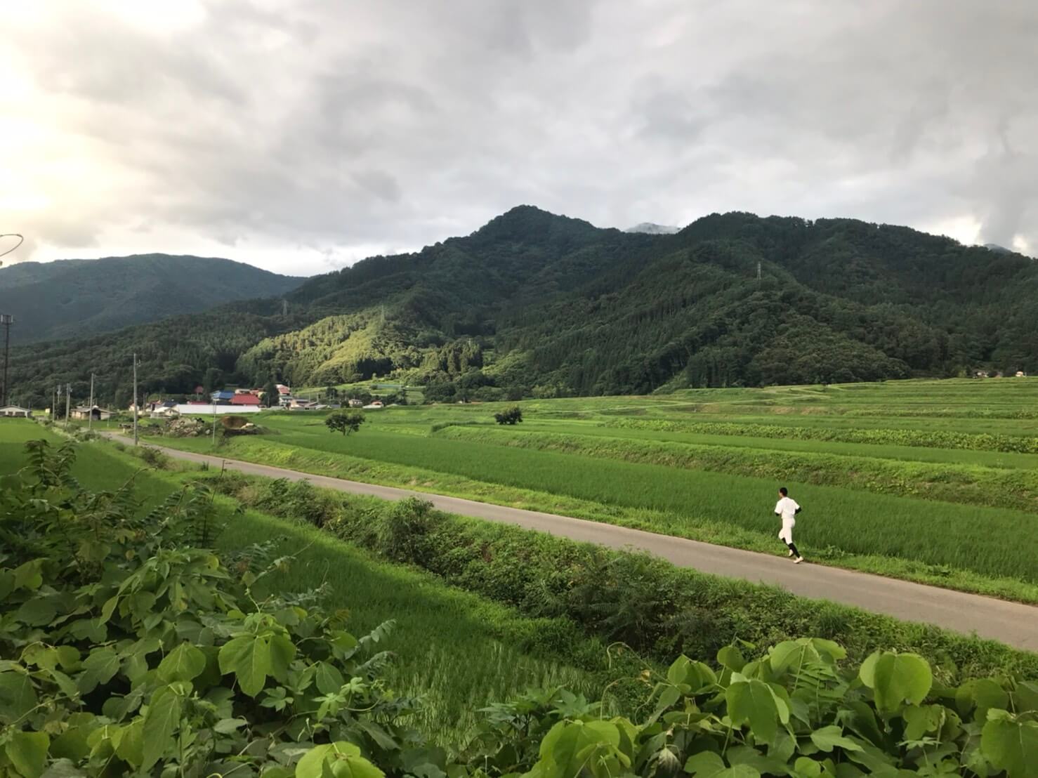 #届け私たちの想い　中野リポート①