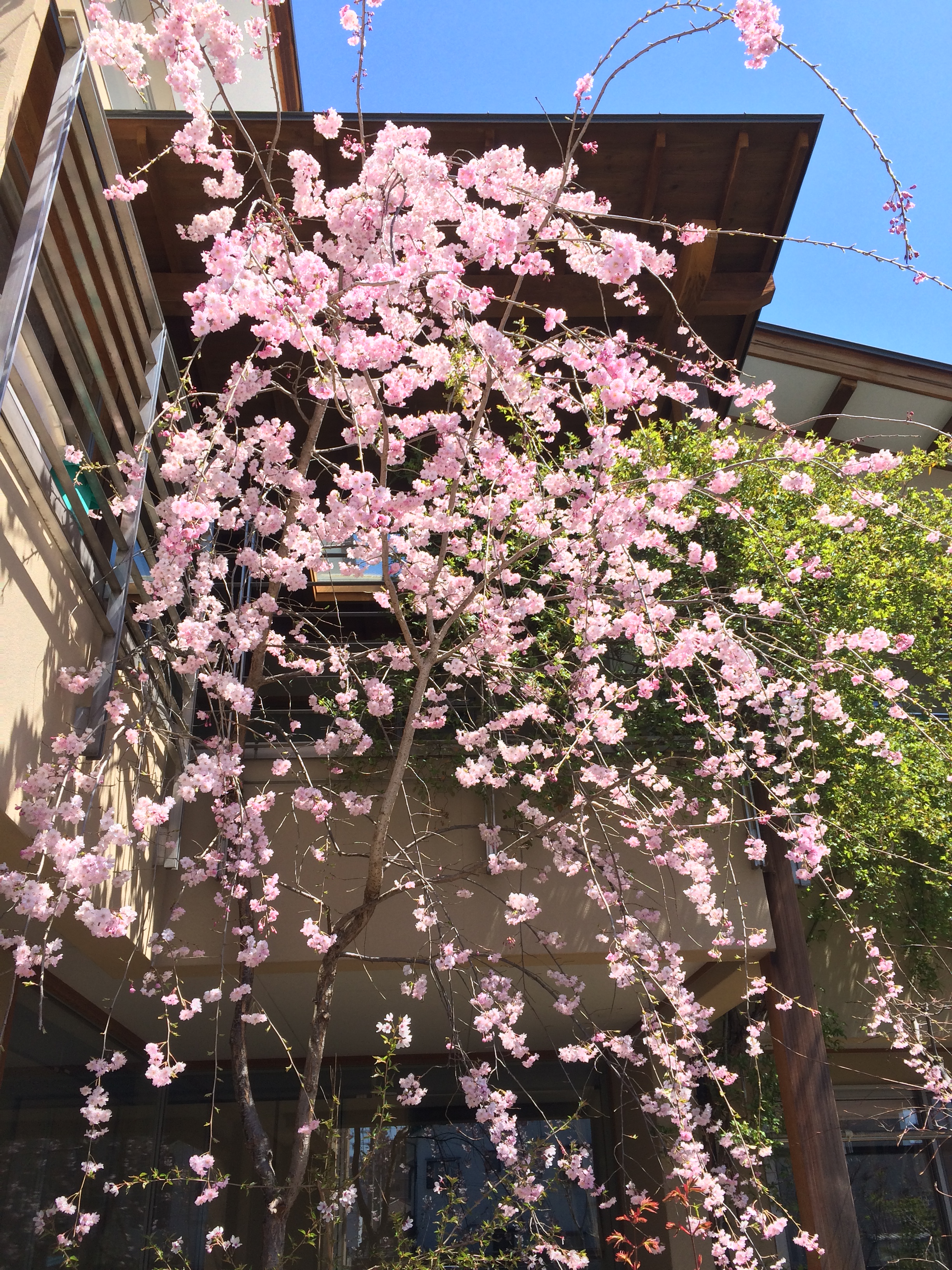 春三題