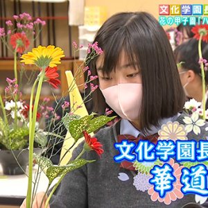 文化学園長野高校 華道部（前編）