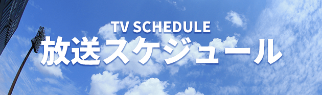 高校野球テレビ放送