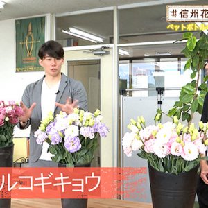 ペットボトルのキャップで簡単アレンジ（＃信州花活 ～タカト花男子への道～ / 2020年10月9日）