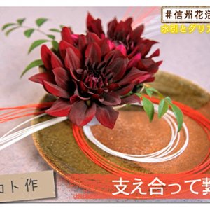 水引とダリアで上品アレンジ（＃信州花活 ～タカト花男子への道～ / 2020年10月23日）