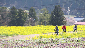 菜の花畑｜春の北信濃 eバイクでGO！～グルメ＆絶景！地域の魅力再発見の旅～