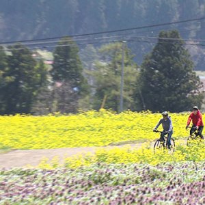 春の北信濃 eバイクでGO！～グルメ＆絶景！地域の魅力再発見の旅～（5月1日 土曜 あさ9時30分）