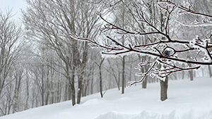 白馬岩岳山頂｜“密”を避けて冬を楽しもう！ ～雪を遊びに！逆転発想で白馬村を活性化～