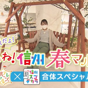 御開帳だよ！いいね！信州春マルシェ（駅テレマルシェ × いいね！信州スゴヂカラ 合体スペシャル / 2022年5月7日 土曜 あさ9時30分）