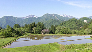 小谷村 風景｜なるほど！エンジョイ゛自然学校゛～里山の恵み山菜＆アロマ SDGS…～