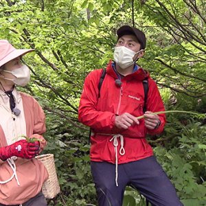 なるほど！エンジョイ゛自然学校゛～里山の恵み山菜＆アロマ SDGS…～（ 2022年6月4日 土曜 あさ9時30分）