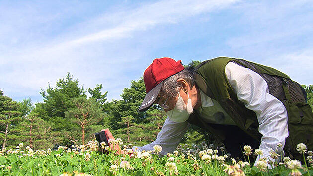 昆虫写真家・海野和男｜駅前はちみつプロジェクト ～ハチは地球を救う！？花とヒトと昆虫と～