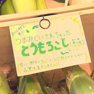 エコ活deお得！SDGsはじめました！～ニューオープンマルシェ&大人気！激安パン～（2022年8月20日 土曜 あさ9時30分）