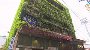 ツタに覆われたビル・小諸市相生町商店街｜おしゃれな田舎マチ！新店続々・・・～リノベの店でスイーツ＆盆栽カフェ～