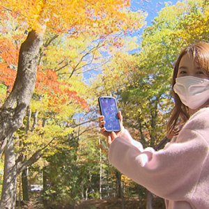 秋の魅力あふれる公園さんぽ！ ～紅葉！アクティビティ！動物！童話の世界体感も！？（2022年11月5日 土曜 あさ9時30分）