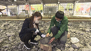 化石発掘体験｜北陸新幹線と特急で福井へGO！～旬のカニと恐竜 日本海の絶景…地球を感じる旅～