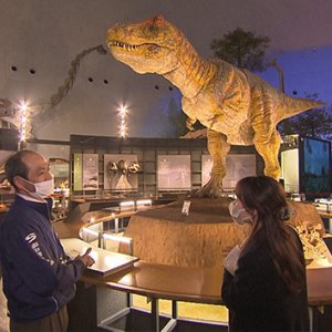 北陸新幹線と特急で福井へGO！～旬のカニと恐竜 日本海の絶景…地球を感じる旅～（2022年11月19日 土曜 あさ9時30分）