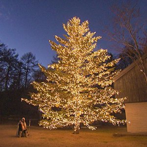 みんなで楽しむ！土日クリスマス ～冬の自然を日帰りで満喫＆食卓彩る限定グルメ～（2022年12月24日 土曜 あさ9時30分）