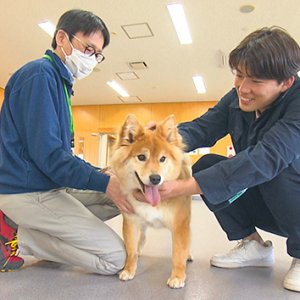 さあ！お花見だ！春の行楽にオススメの公園へGO！ ～遊び場充実＆芸術×動物×ワイナリーの新スポットも～（2023年4月8日 土曜 あさ9時30分）