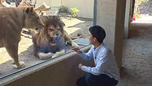 新施設「ライオンの丘」・茶臼山動物園｜GW満喫！日帰りおでかけスポットへ ～新しくなった動物園＆魅力あふれる道の駅～