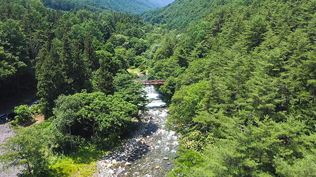 烏川渓谷緑地空撮｜家族でGO! 夏におすすめ水辺の公園へ ～生き物との触れ合い＆巨大迷路や釣り堀も～