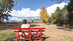 写真美術館・カフェやレストランの集まる（モップ / miyota museum of photography）｜秋色信州！アートにグルメ・紅葉と絶景温泉も！