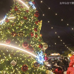 長野駅東口公園で12/15(金)～25(月)開催！全部見せます！長野クリスマスマーケット イルミネーション＆雑貨＆あったかグルメ！拡大105分SP（2023年12月16日 土曜 あさ9時30分）