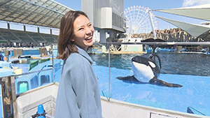 シャチ トレーニングショー・名古屋港水族館｜春休みにオススメ！名古屋たび