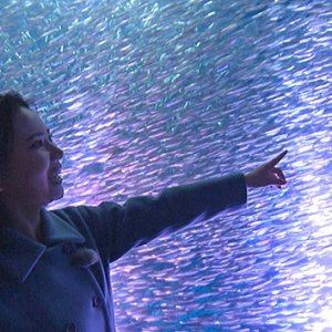 春休みにオススメ！名古屋たび ～大迫力の水族館＆ご当地グルメ＆テーマパークも～（駅テレマルシェ / 2024年3月23日 土曜 あさ9時30分）