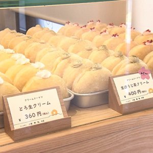 ブーム到来中！！ イマドキドーナツ最前線（2025年5月10日 土曜 あさ9時30分）