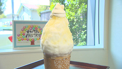 ケーキの様なかき氷（HOTA PASTRY / 飯田市）