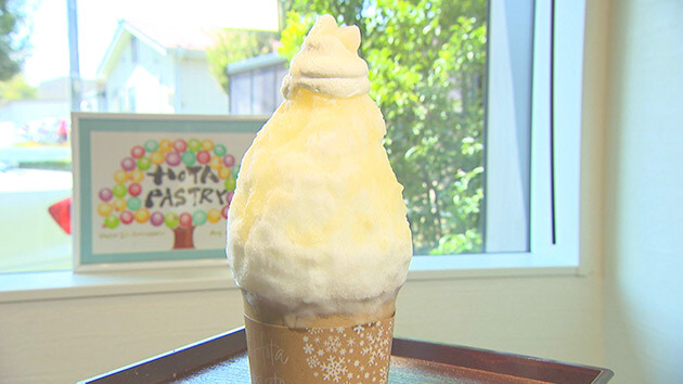 ケーキの様なかき氷(HOTA PASTRY / 飯田市)