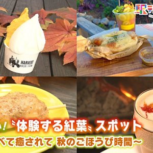 いま行きたい！“体験する紅葉”スポット ～遊んで食べて癒されて 秋のごほうび時間～（2025年11月1日 土曜 あさ9時30分）