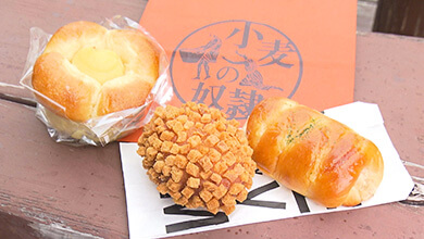 小麦の奴隷カインズ中野店（北信濃ふるさとの森 文化公園）