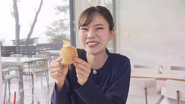 新規オープン続々！フワフワ・しっとり・モチっと しあわせドーナツ最前線（2025年10月11日 土曜 あさ9時30分）